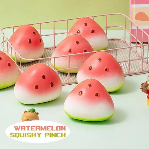 Squishy Watermelon Stress Toy